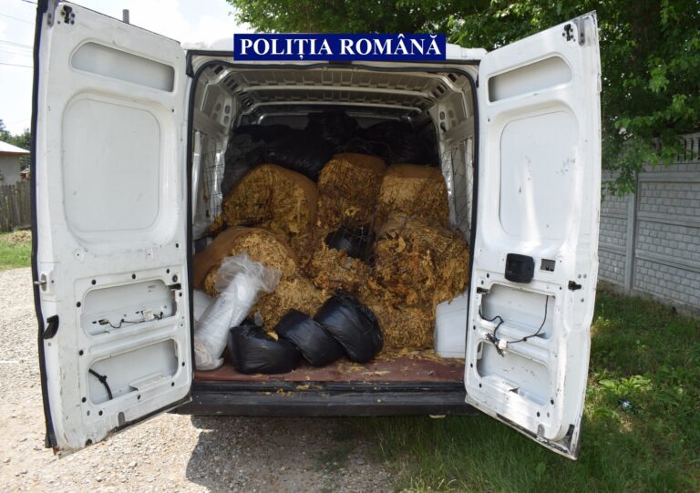 tutun_cercetati