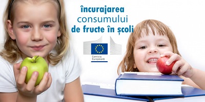 consum_fructe_scoli