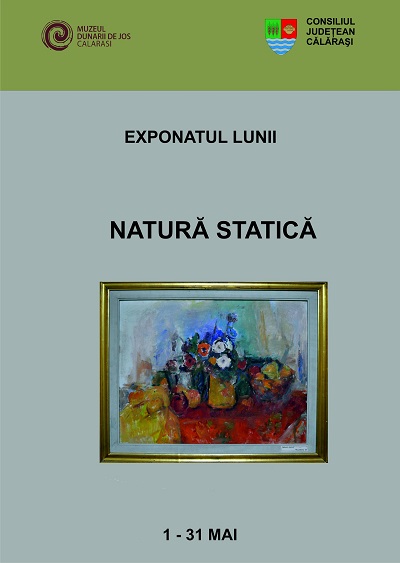 MDJ Exponatul lunii mai Natura statica Ion Musceleanu