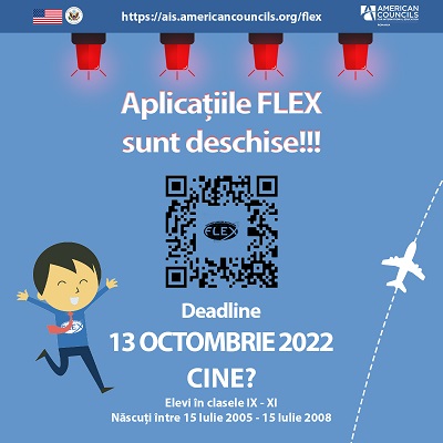 APLICATII FELX
