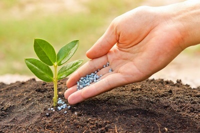 produse fertilizante