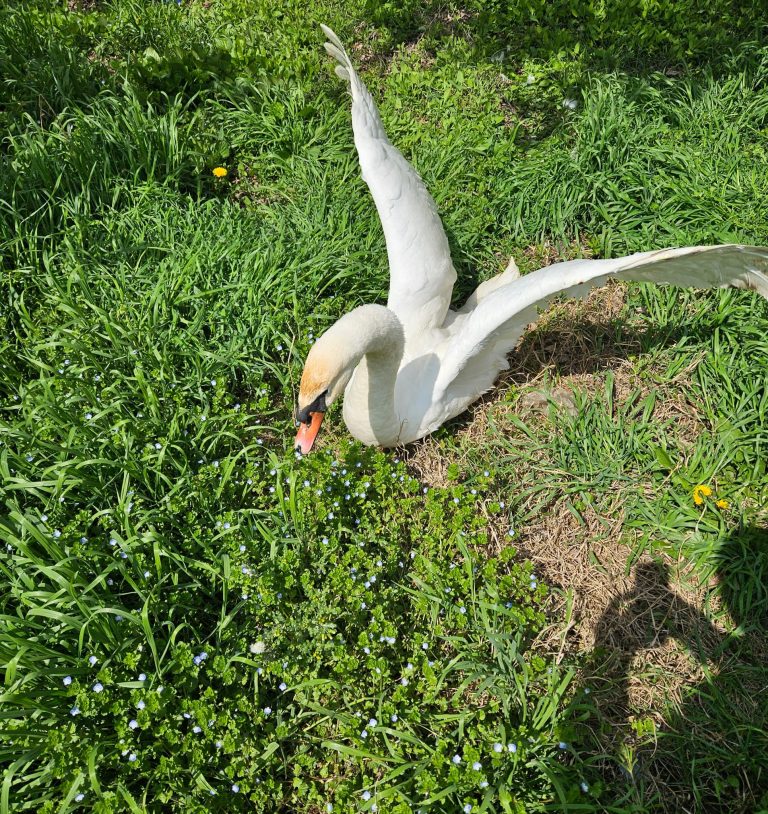 IMG-20230410-WA0027