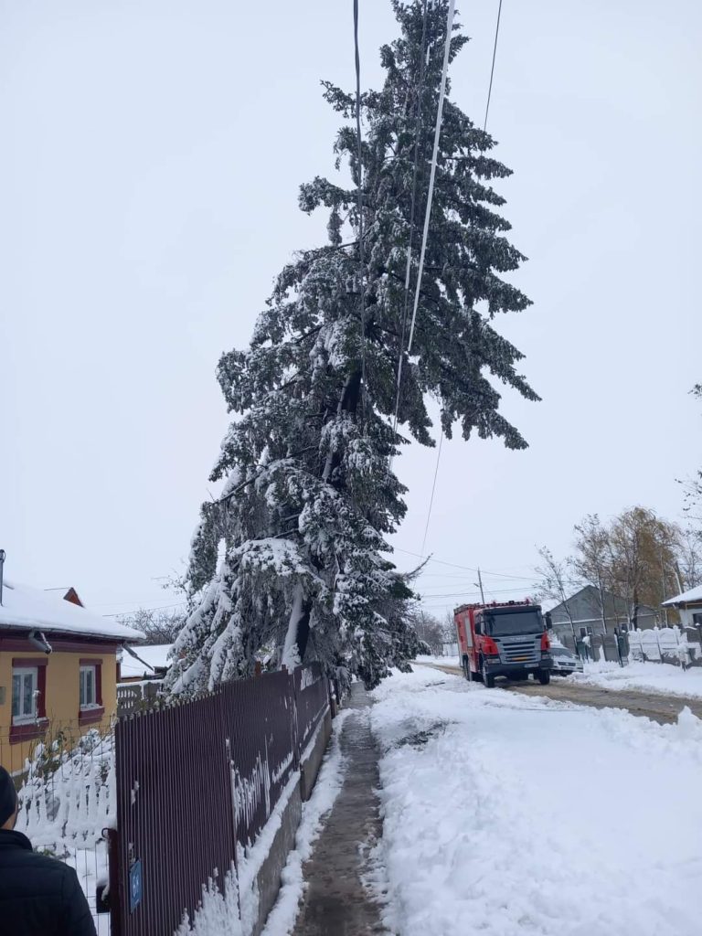 FB_IMG_1701003334963