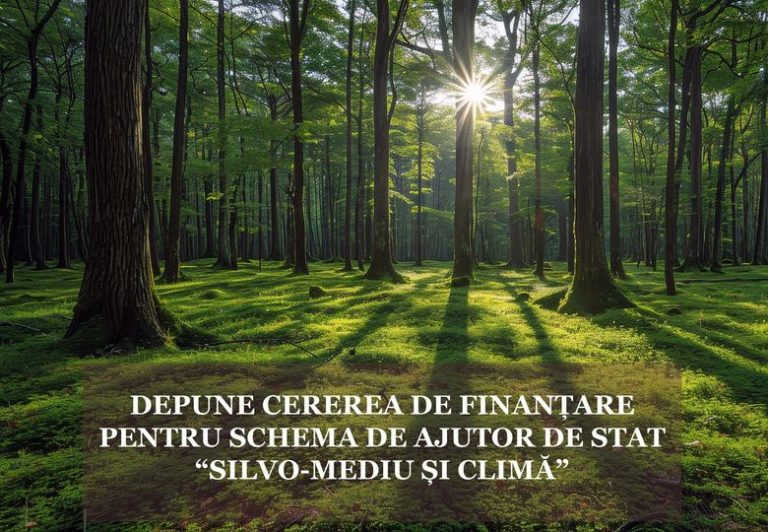 apia silvo_mediu