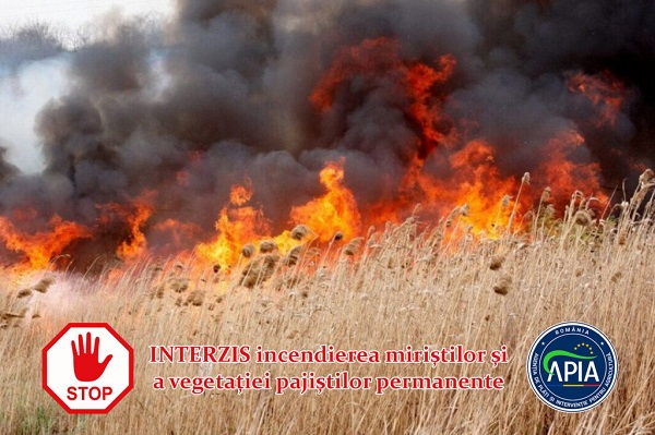 INCENDII VEGETATIE APIA